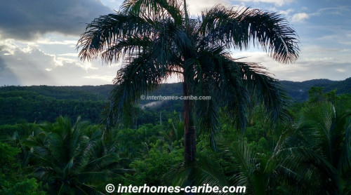 photos for SOSUA: Charming house in a quiet residential area with green countryside.